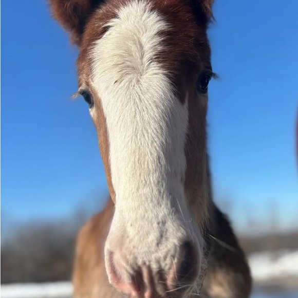 Meet your Posher, Anna - Picture 11 of 13